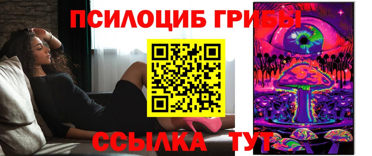 Псилоцибиновые грибы MAGIC MUSHROOMS Горно-Алтайск